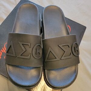 Delta Sigma Theta (DST) slides